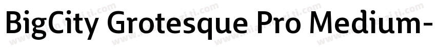 BigCity Grotesque Pro Medium字体转换